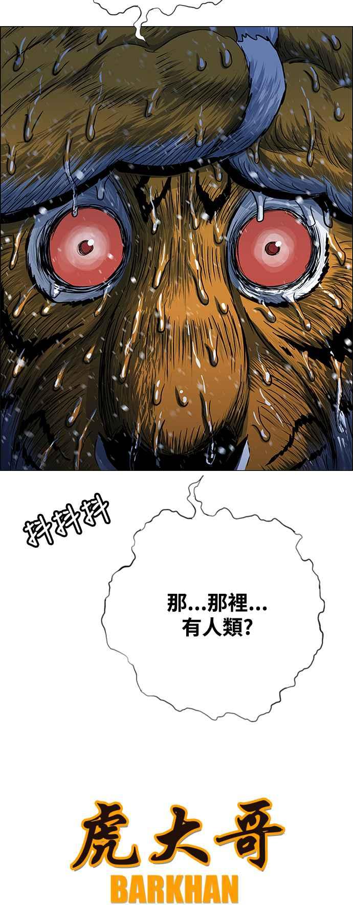 17.jpg