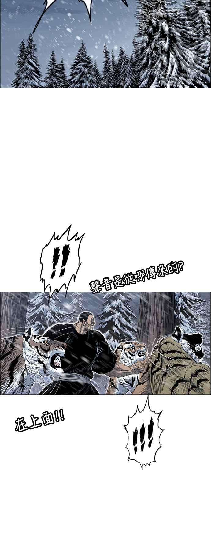 53.jpg