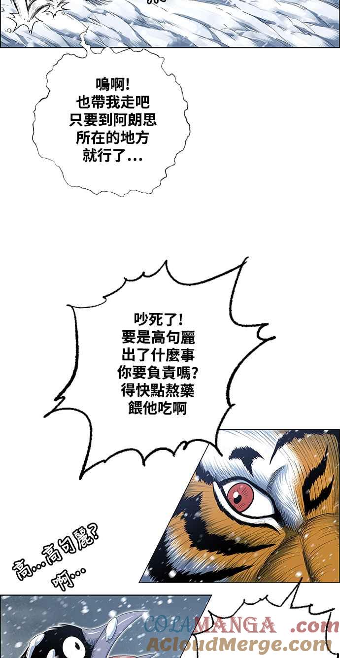 16.jpg