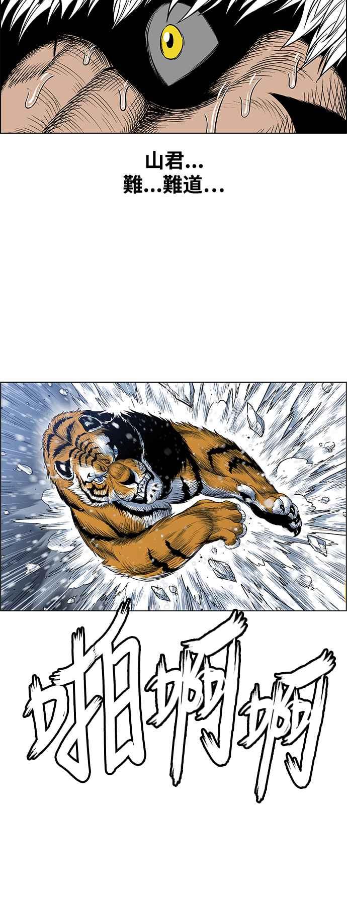 45.jpg