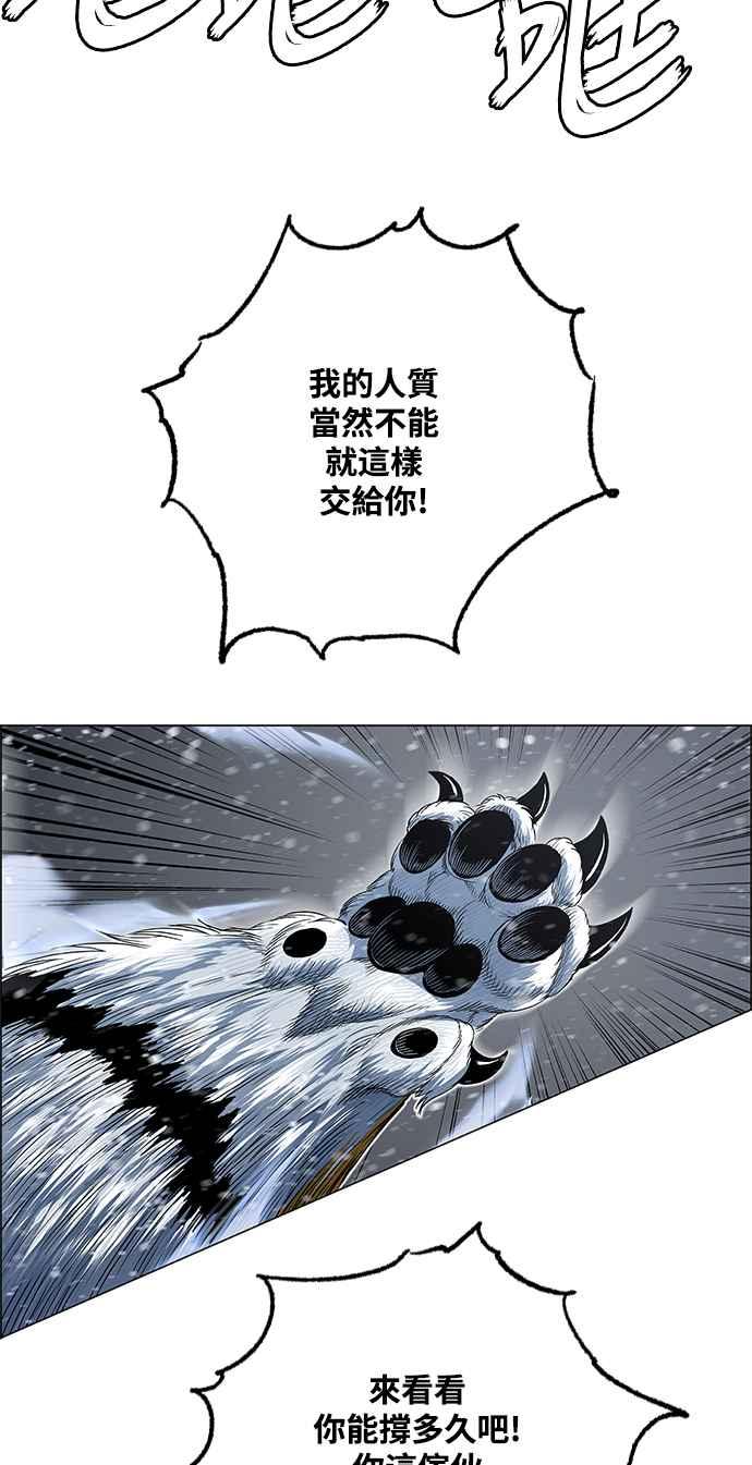 41.jpg