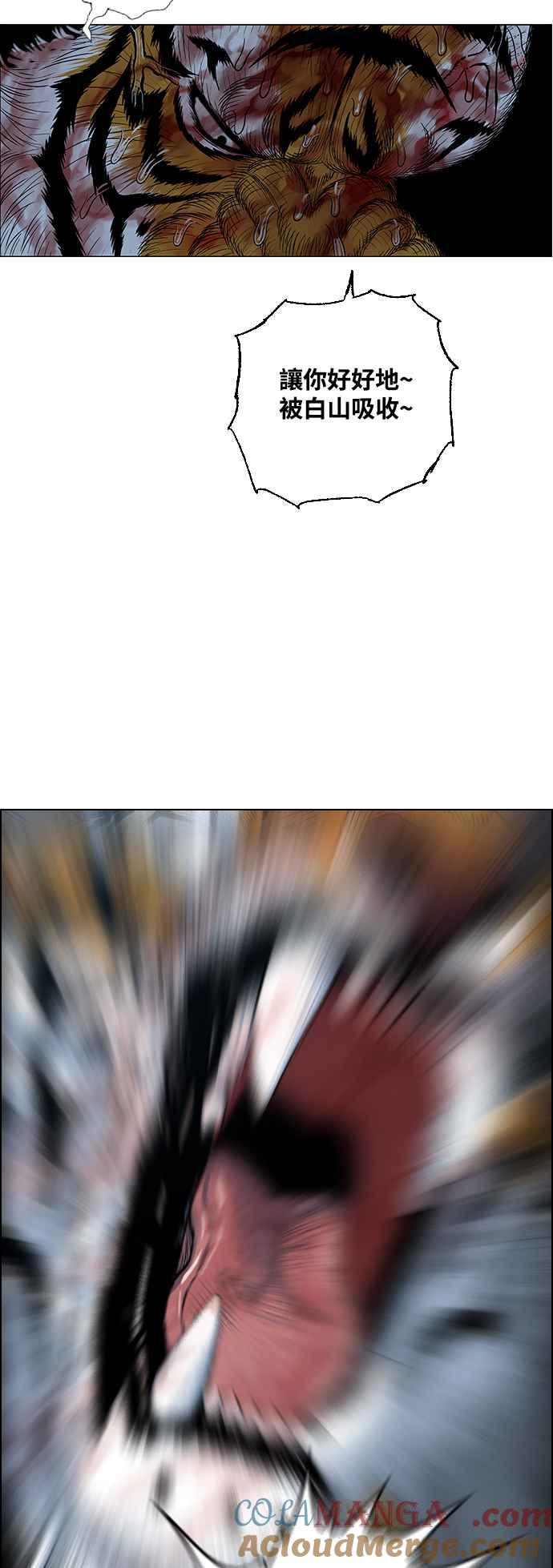 46.jpg