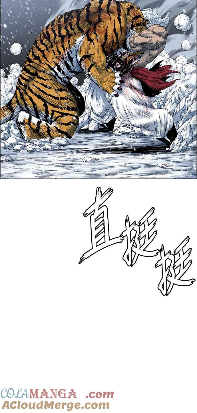 31.jpg