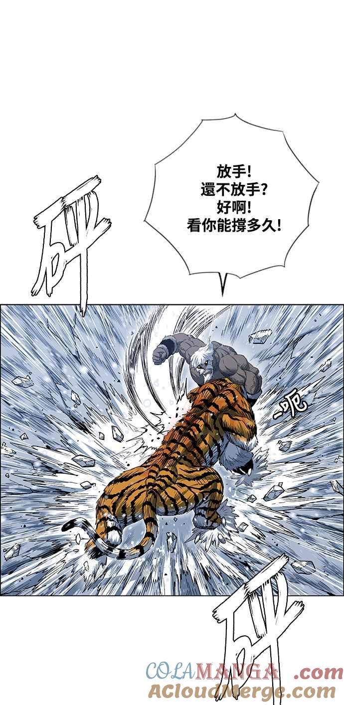 16.jpg