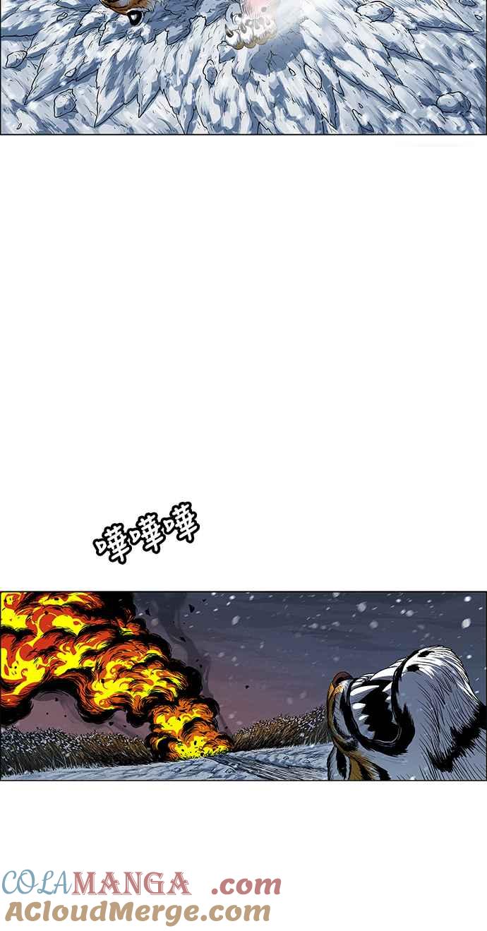 31.jpg