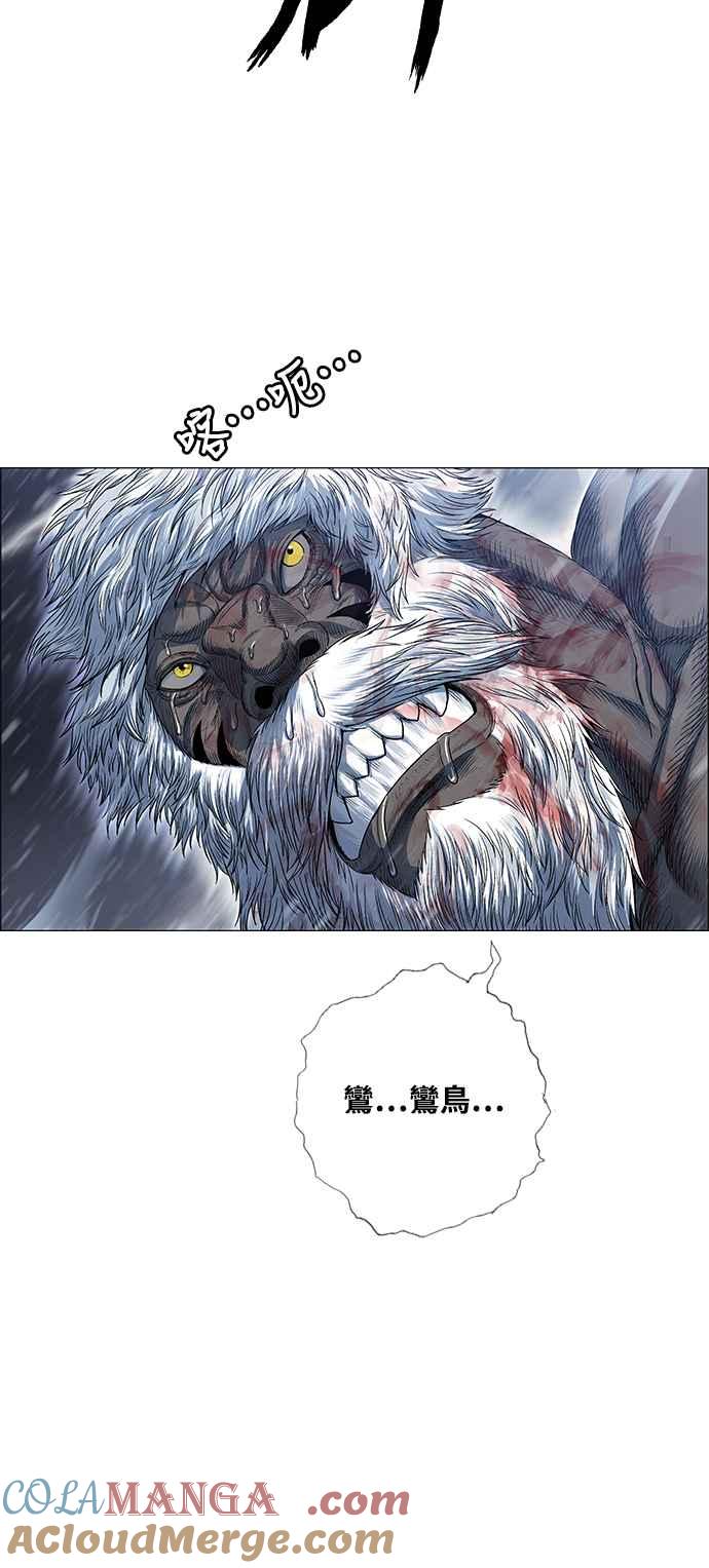 46.jpg
