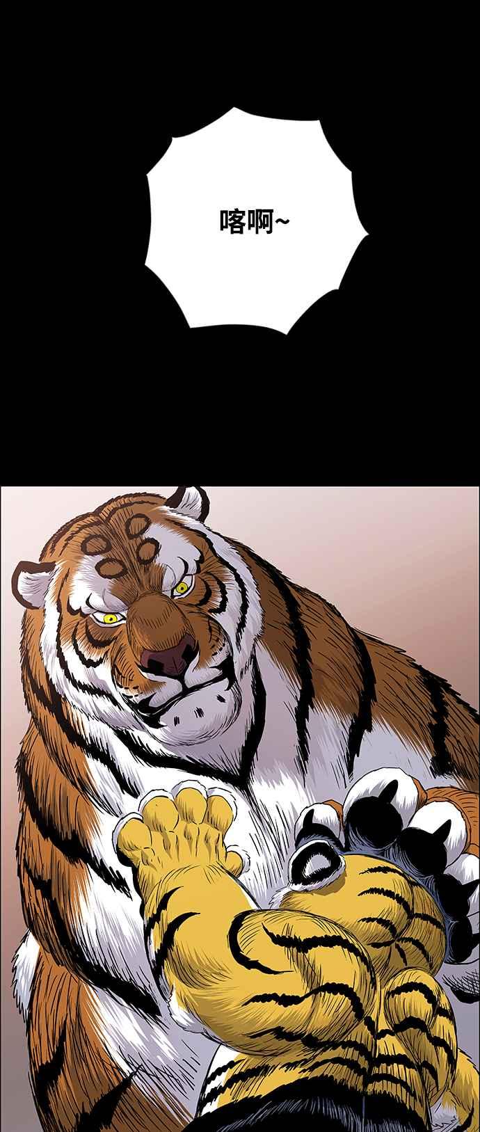 17.jpg