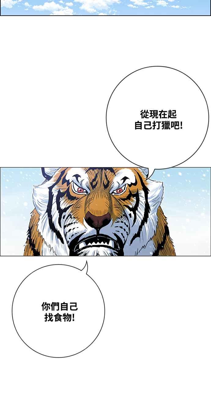 21.jpg