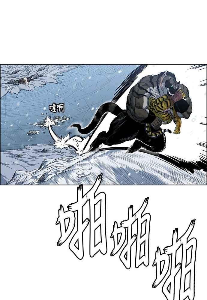 62.jpg