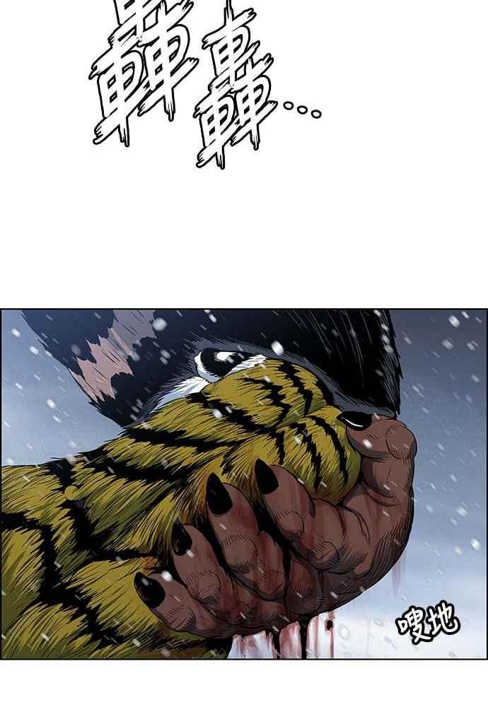 51.jpg