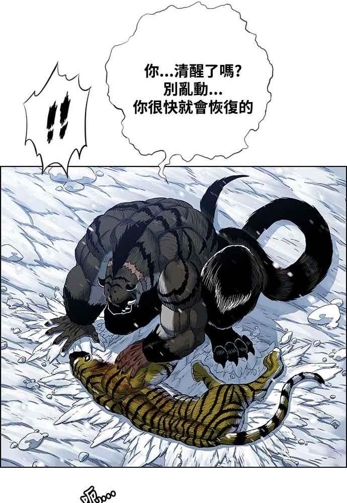 68.jpg