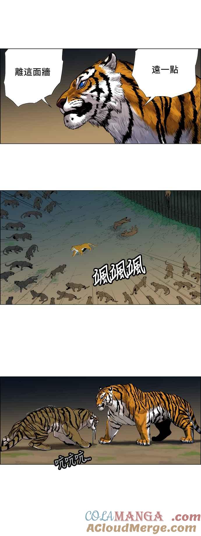 23.jpg
