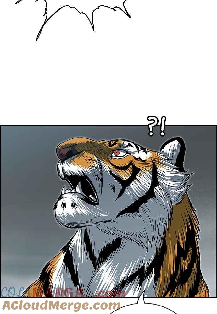 81.jpg