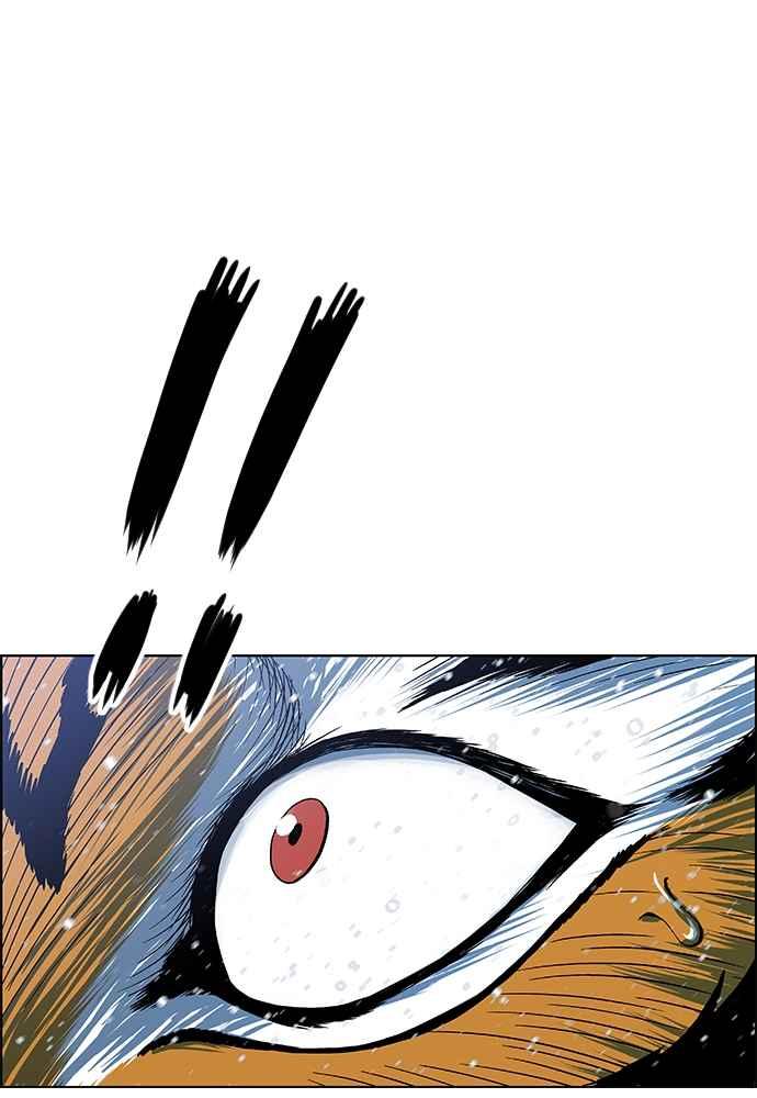 126.jpg