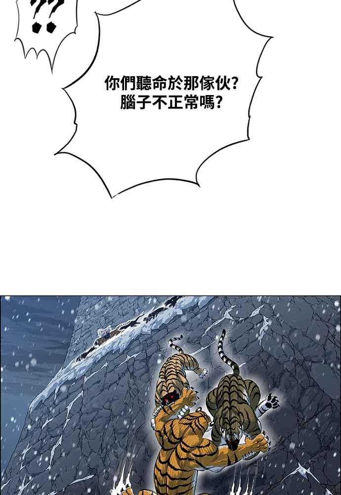 147.jpg