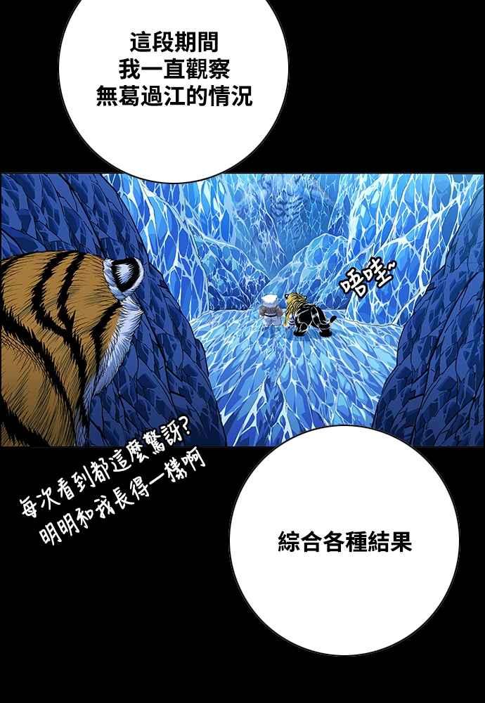 31.jpg