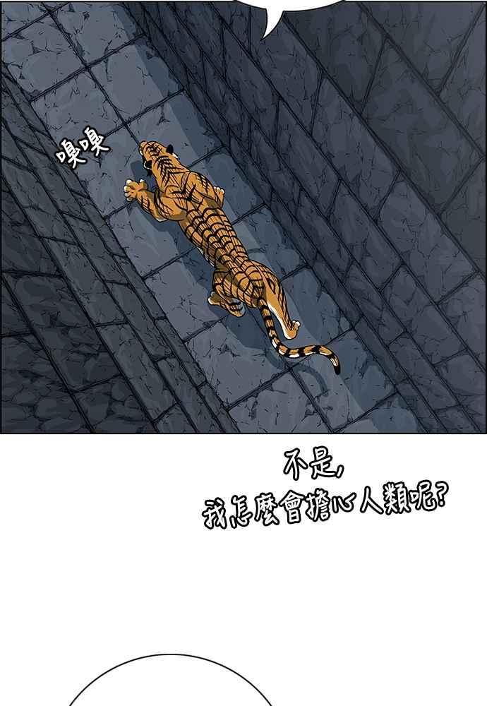 51.jpg
