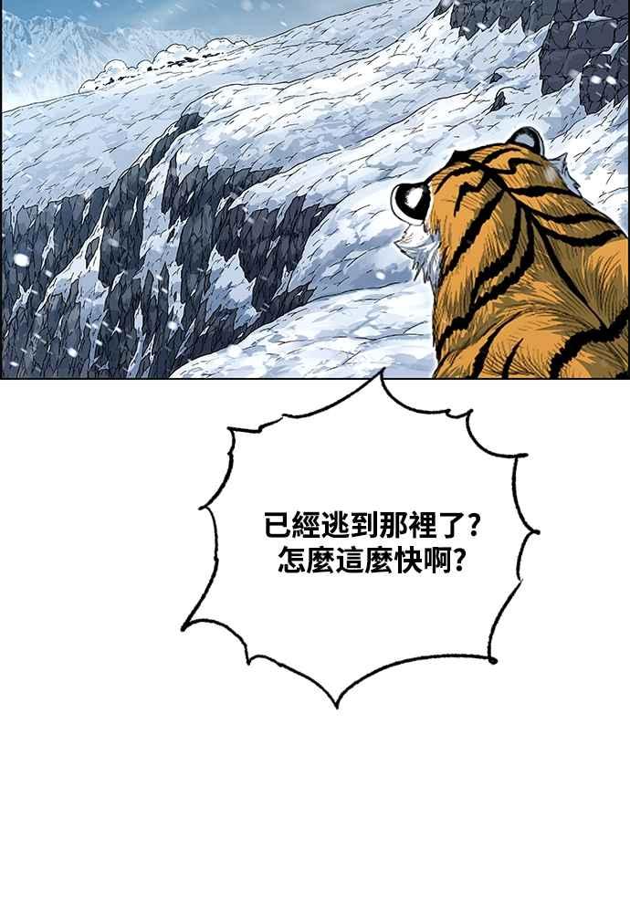 47.jpg
