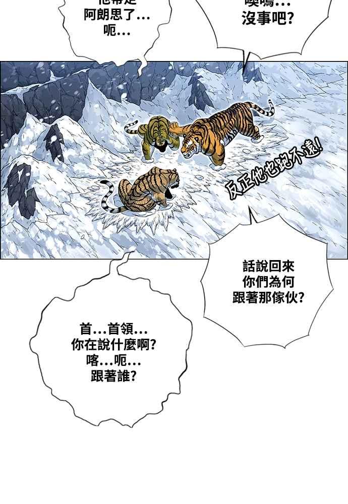 43.jpg