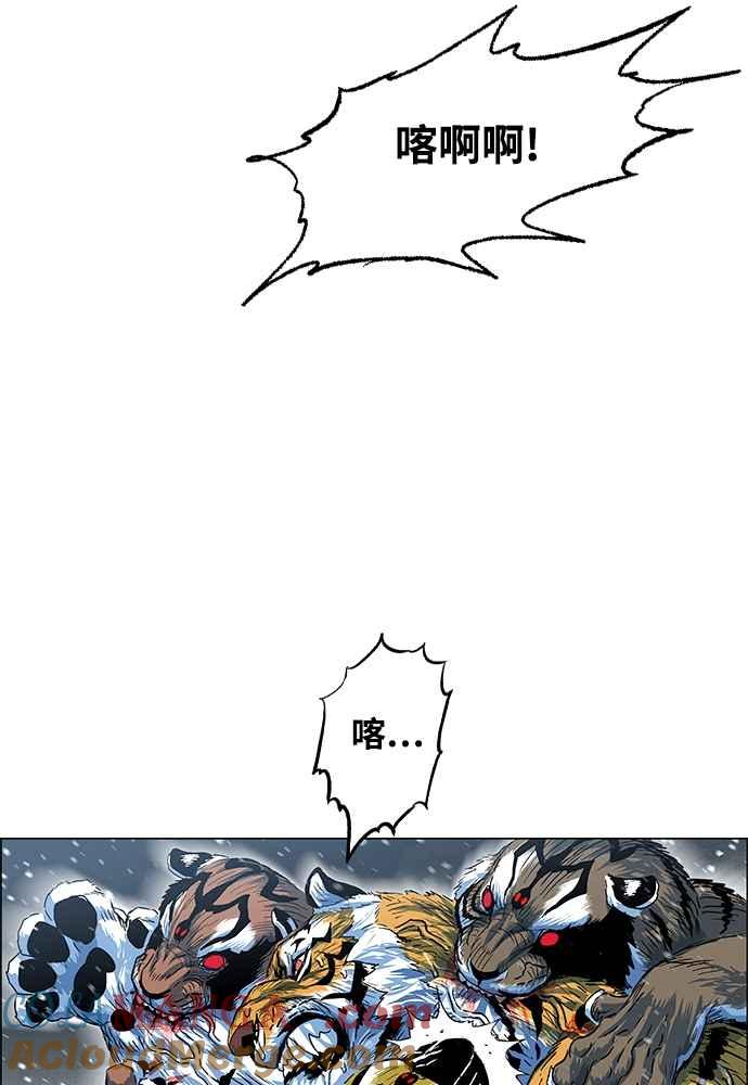 97.jpg