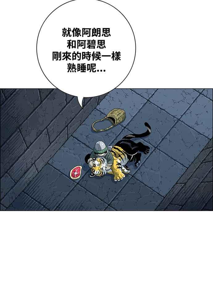 15.jpg