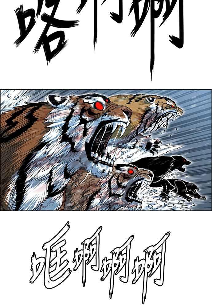 46.jpg