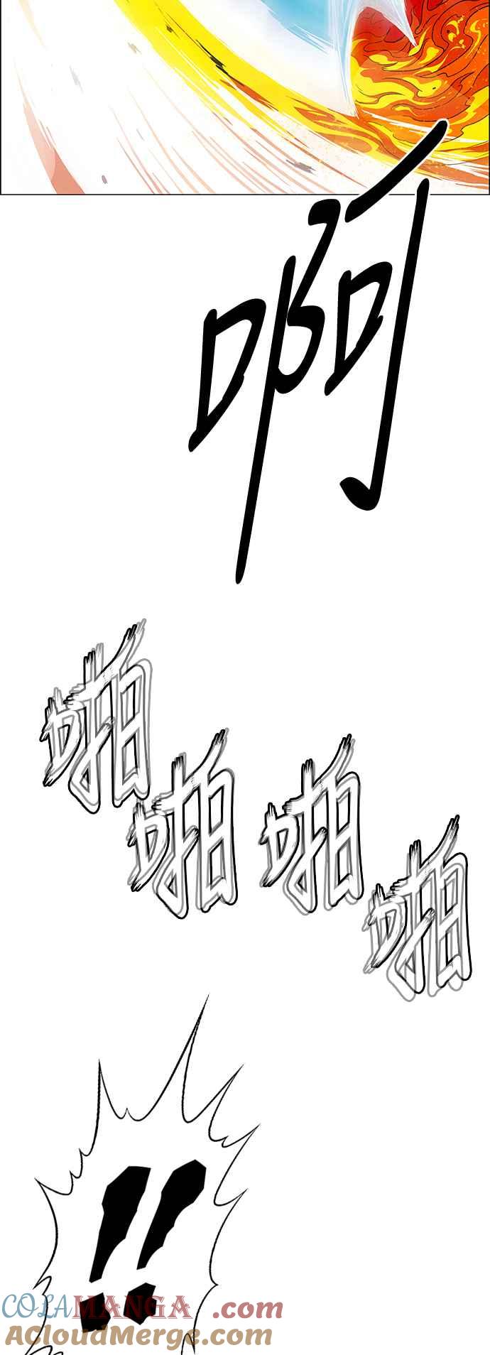 113.jpg