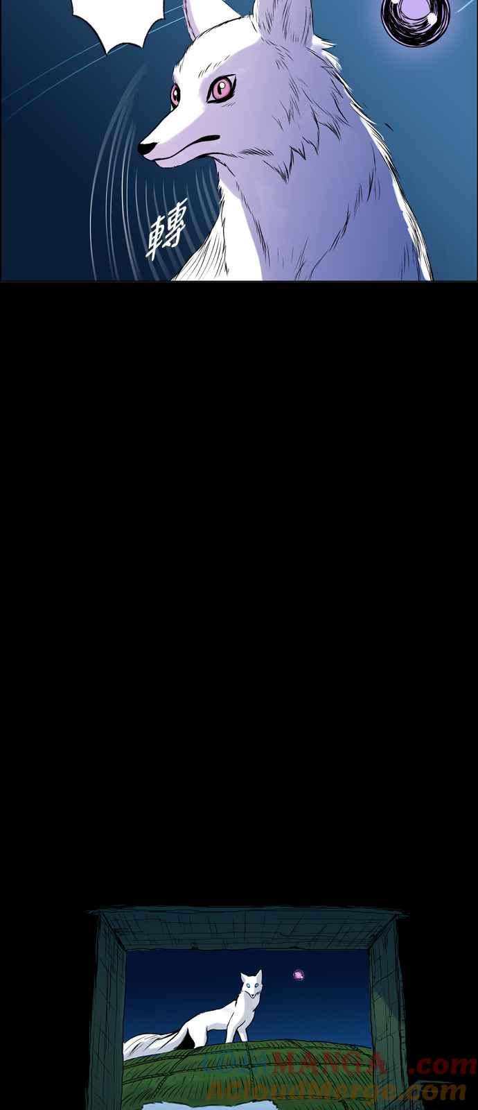 17.jpg