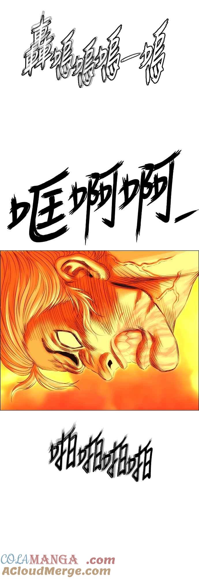 31.jpg