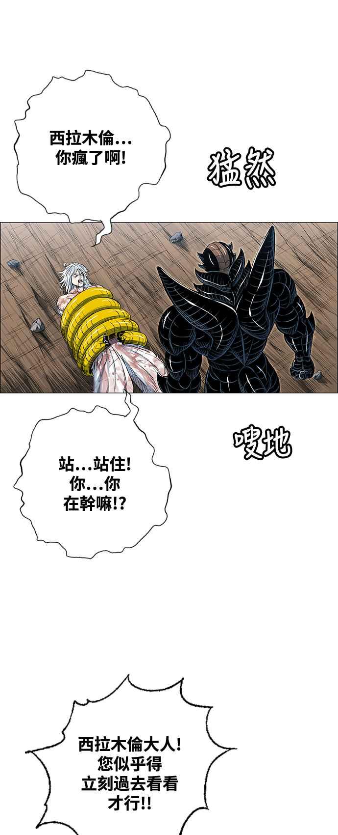 26.jpg