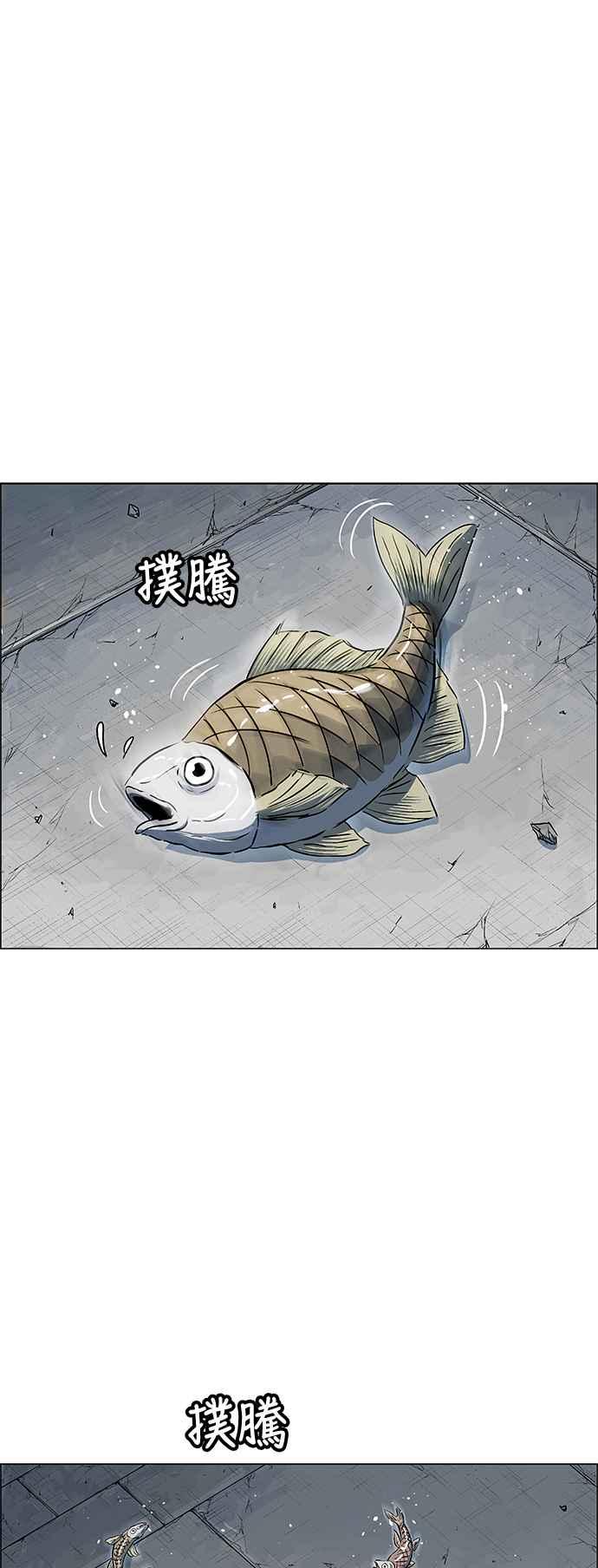 63.jpg