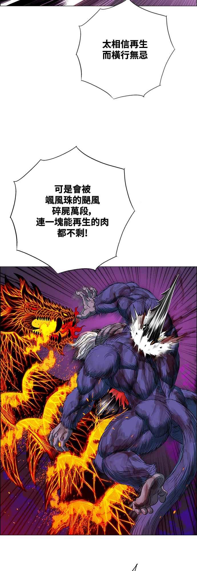 48.jpg