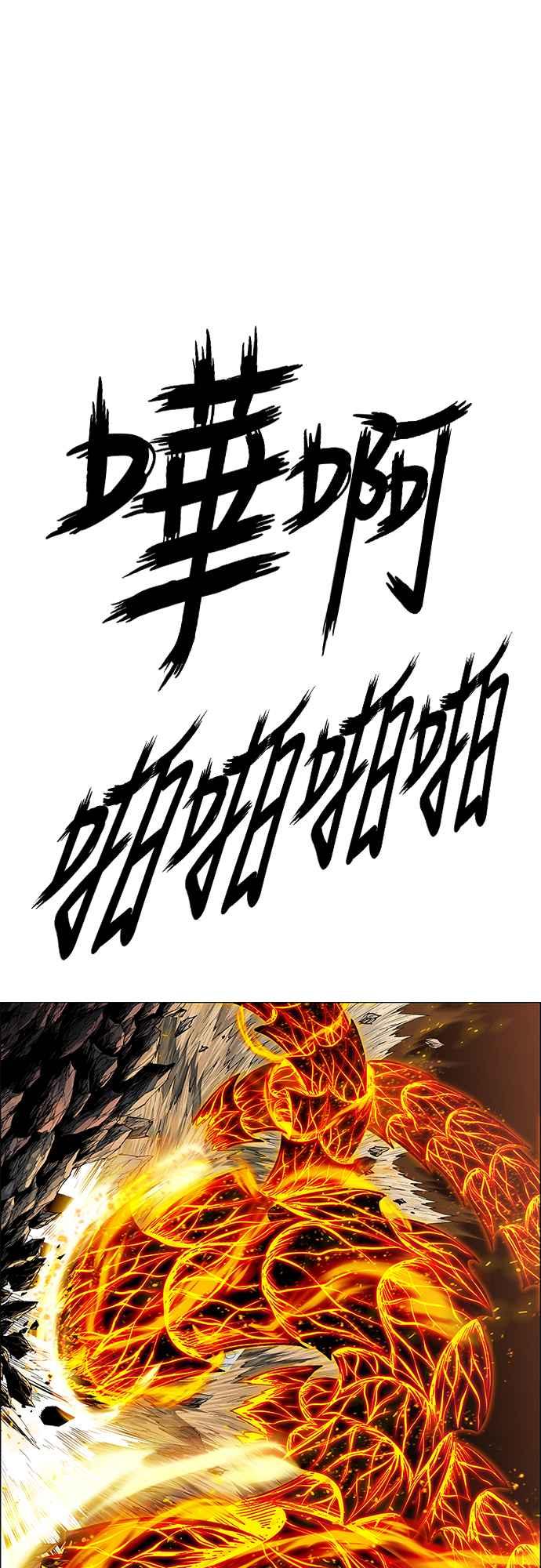78.jpg
