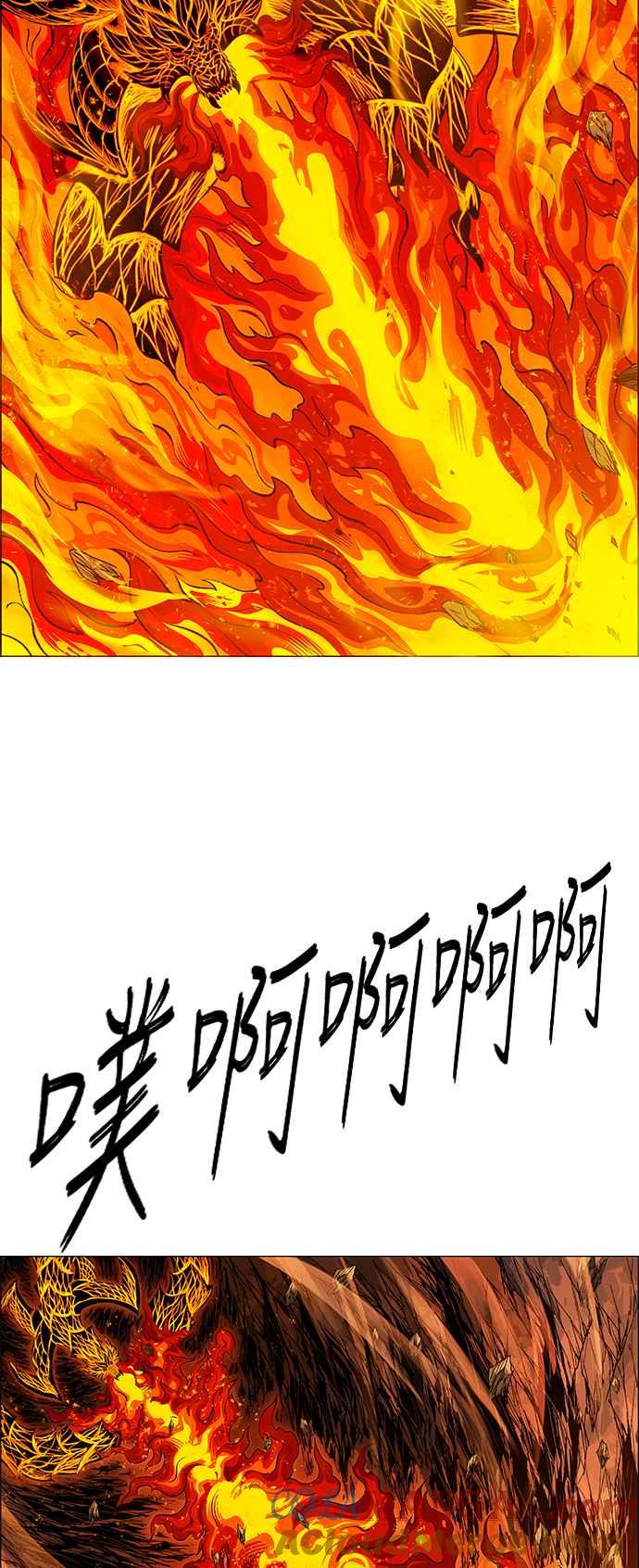 49.jpg