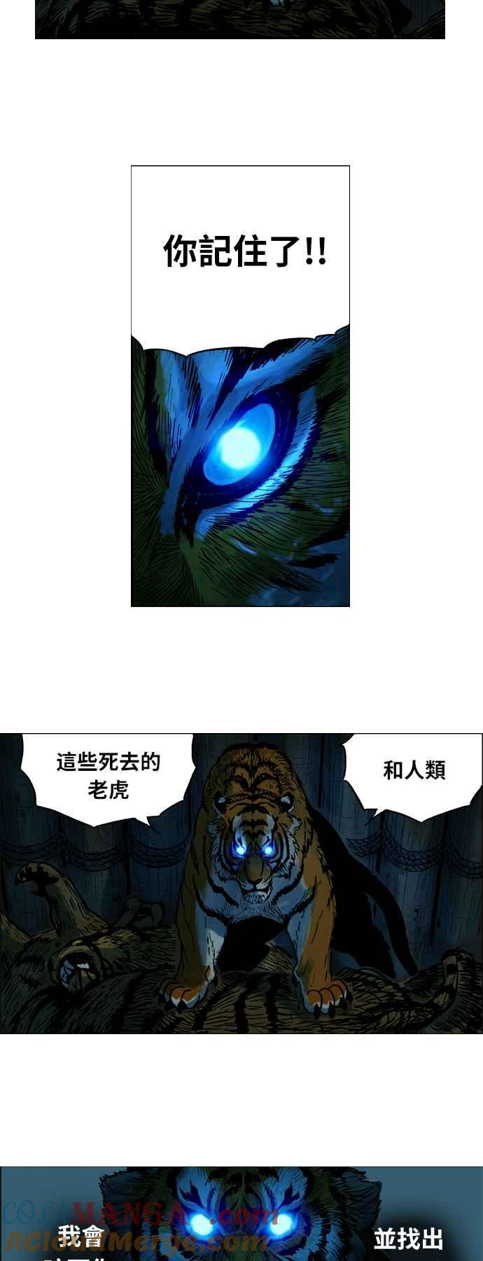 25.jpg