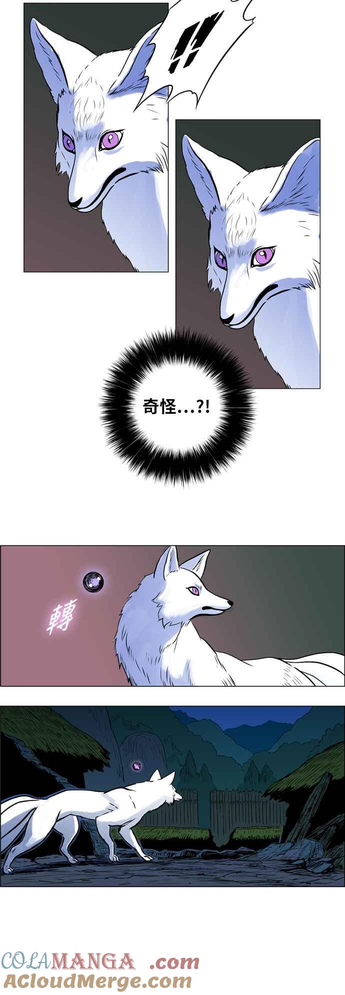 17.jpg