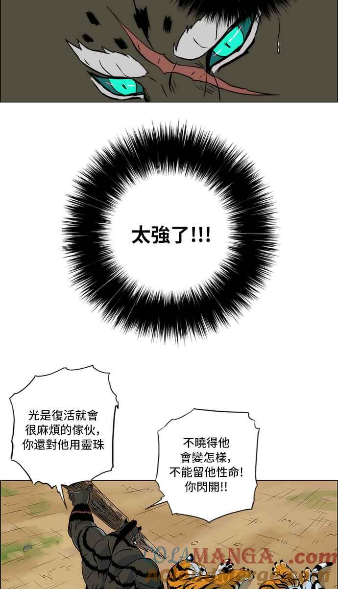 13.jpg