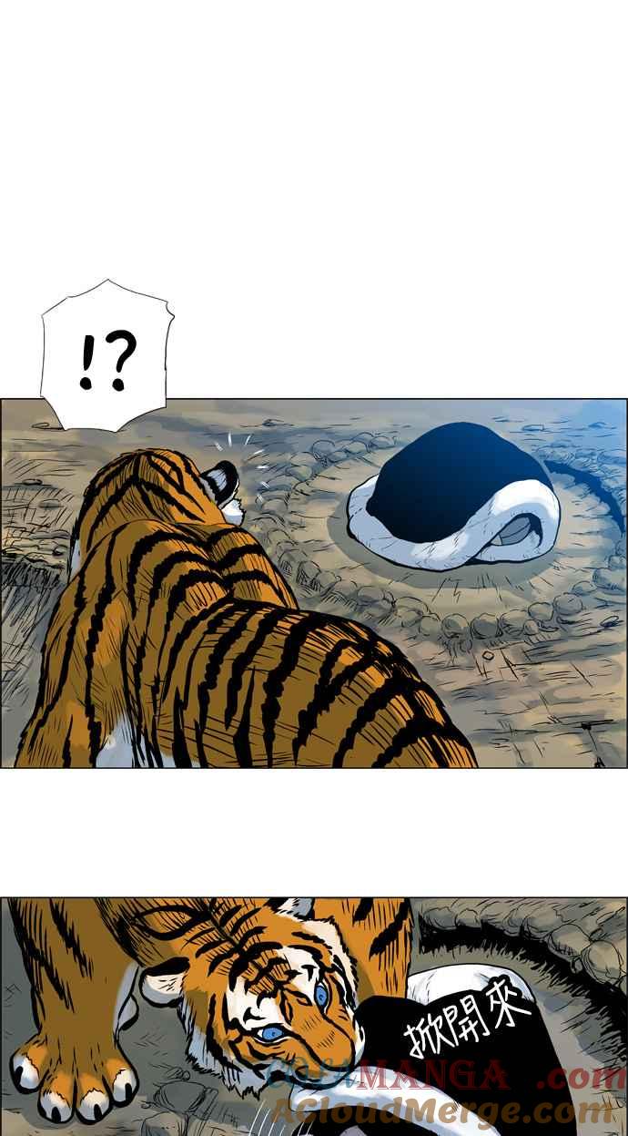 19.jpg