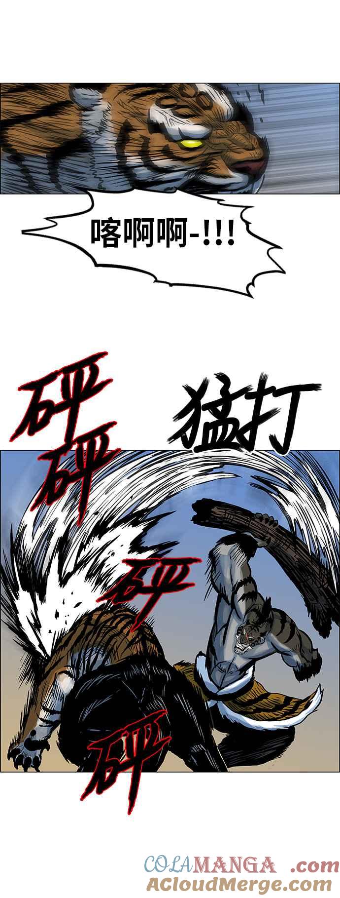 11.jpg