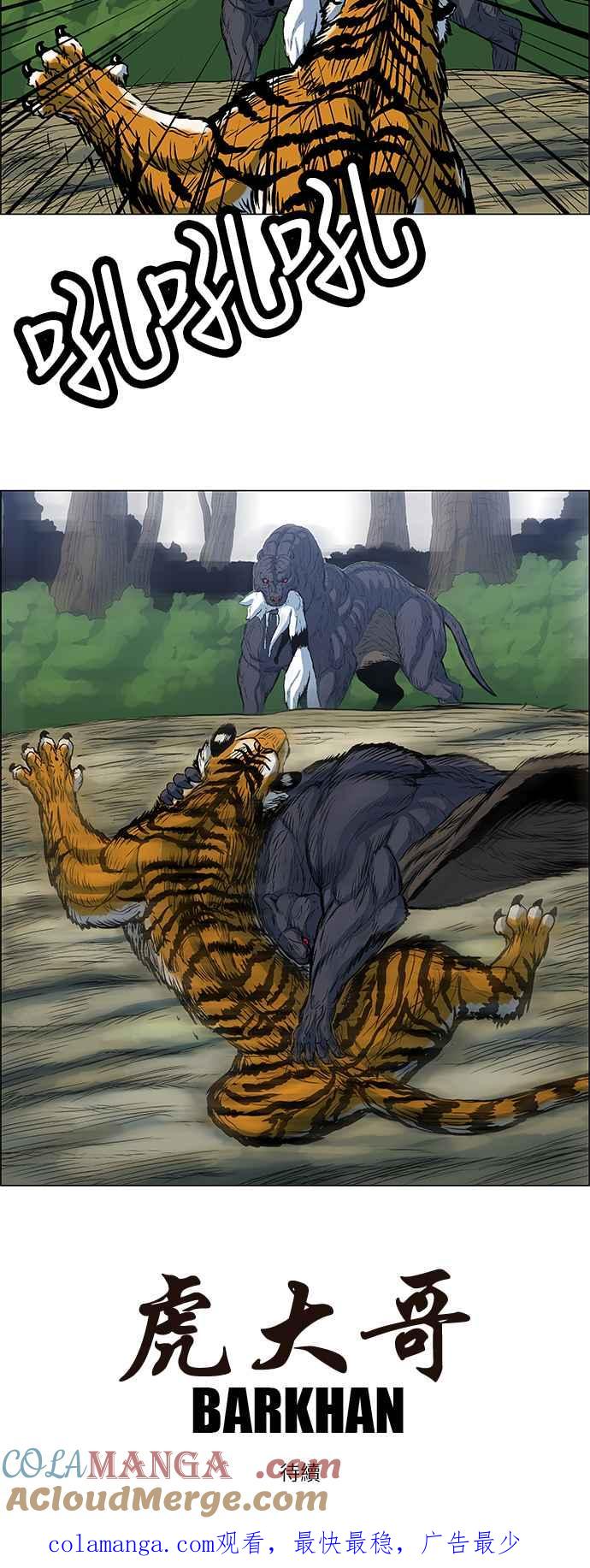 11.jpg