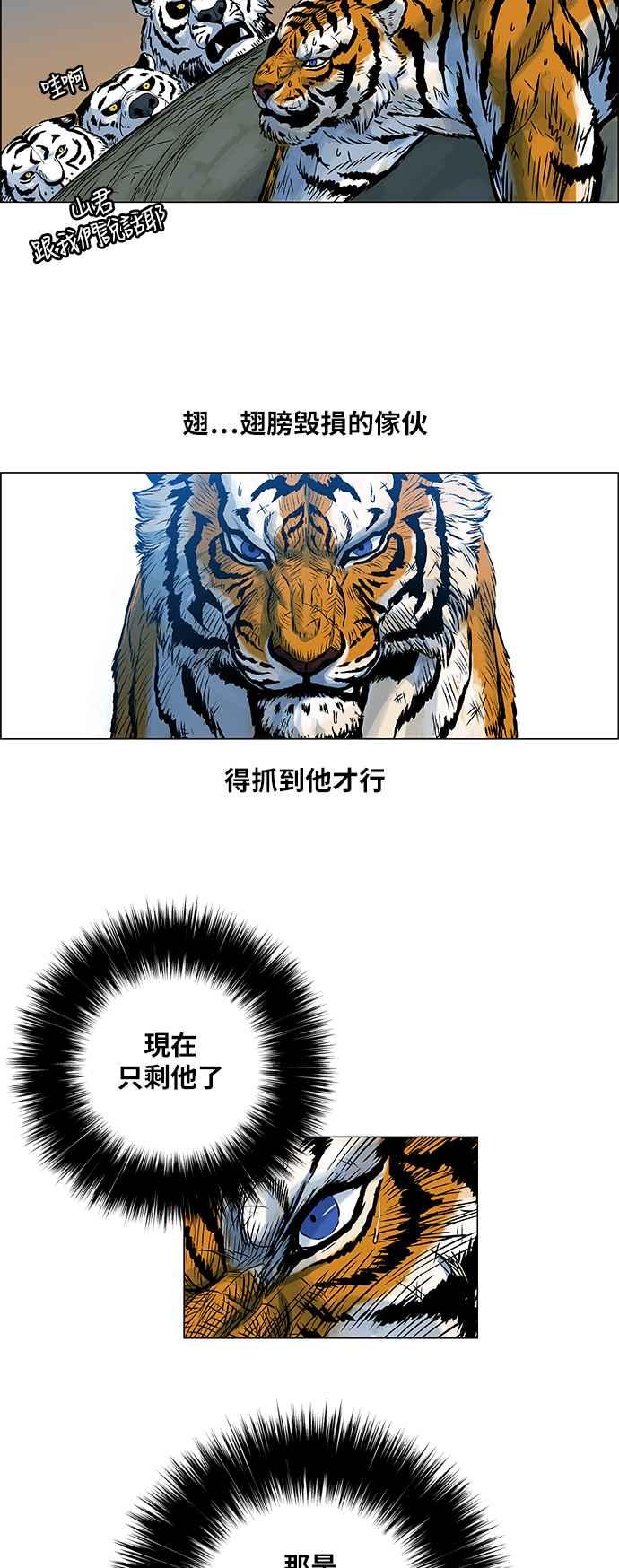 16.jpg