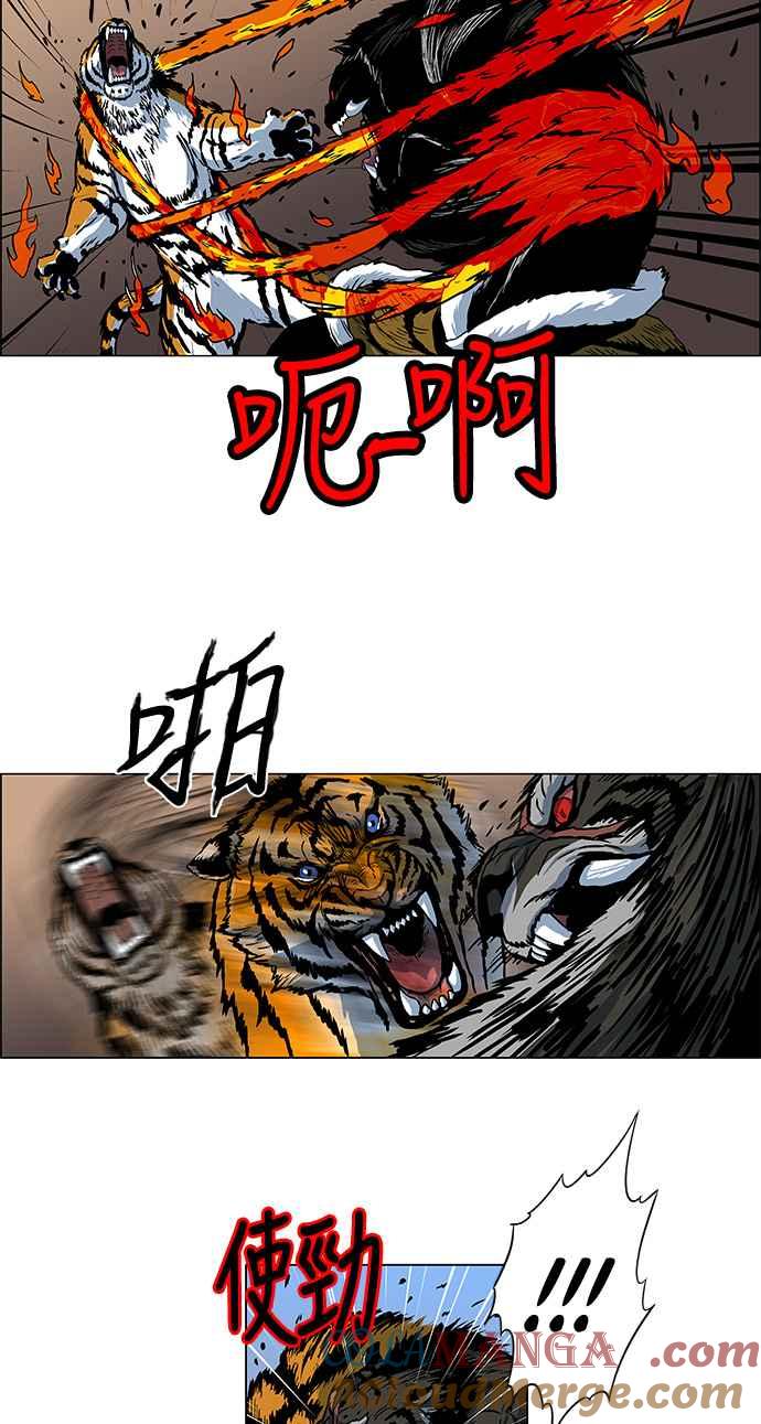 19.jpg