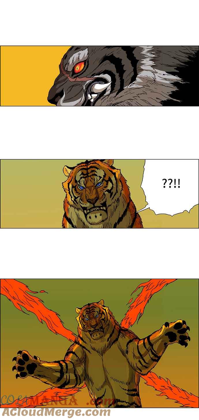 17.jpg
