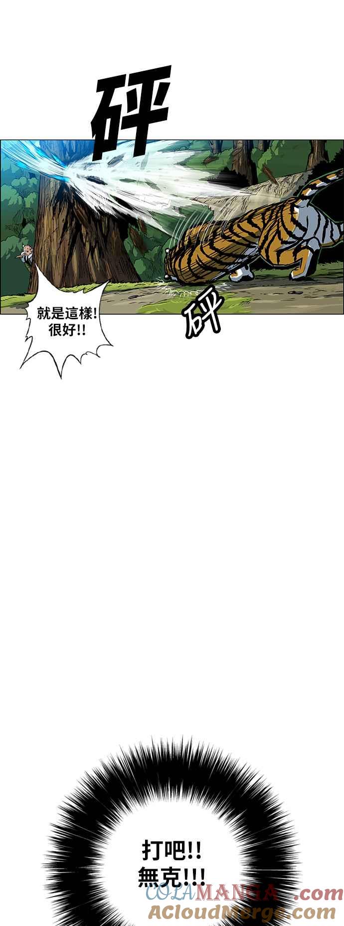 13.jpg
