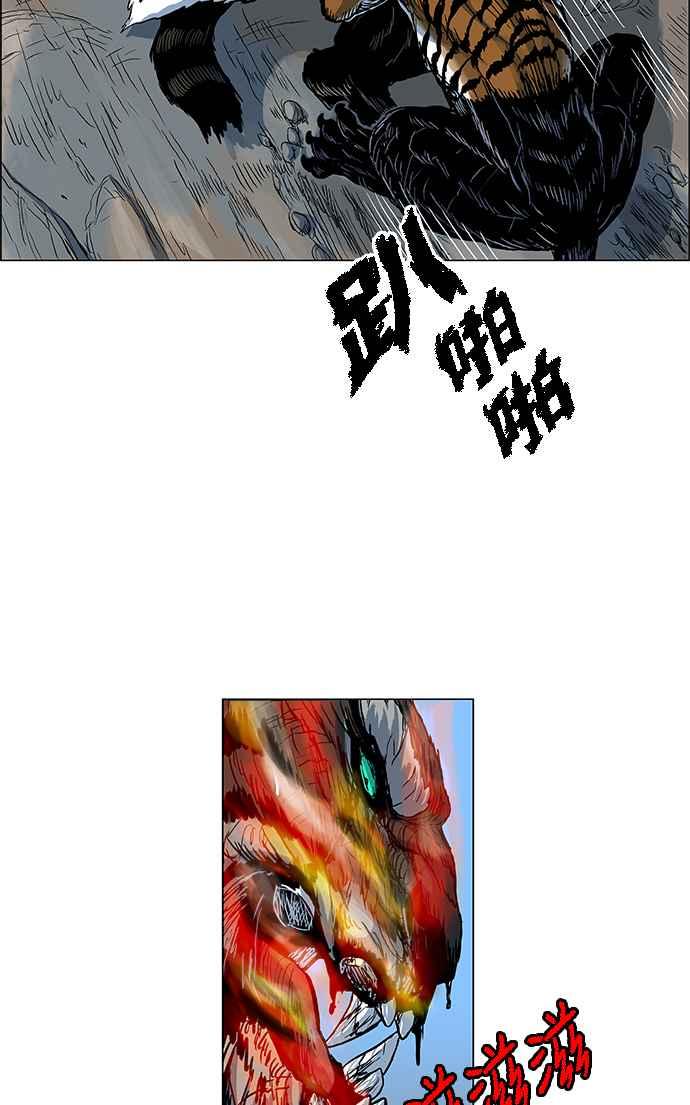 20.jpg