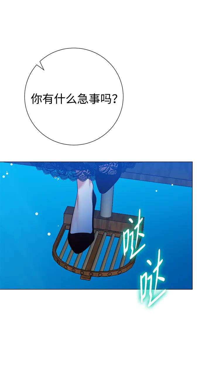 51.jpg