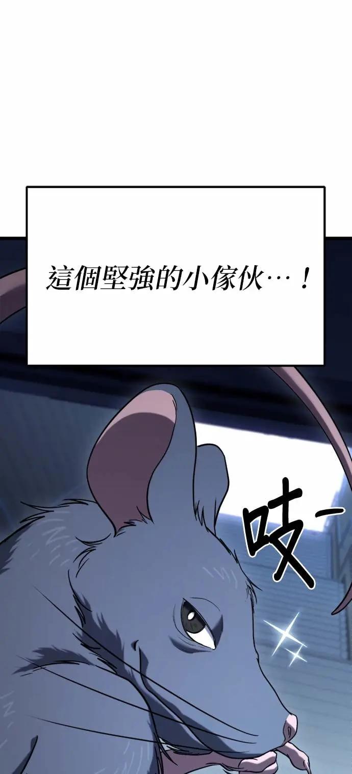 41.jpg