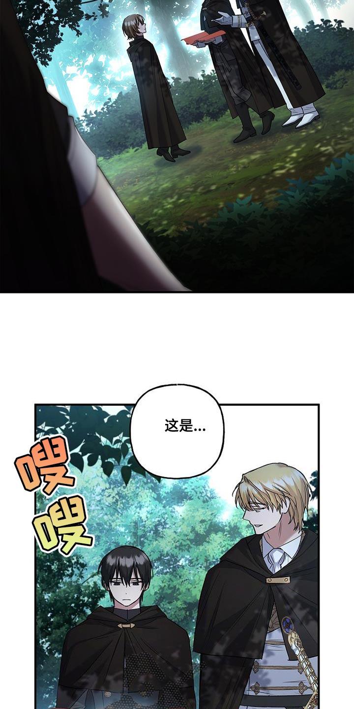 第65章：相差甚远-魔兵传奇-UIianem（第5张）