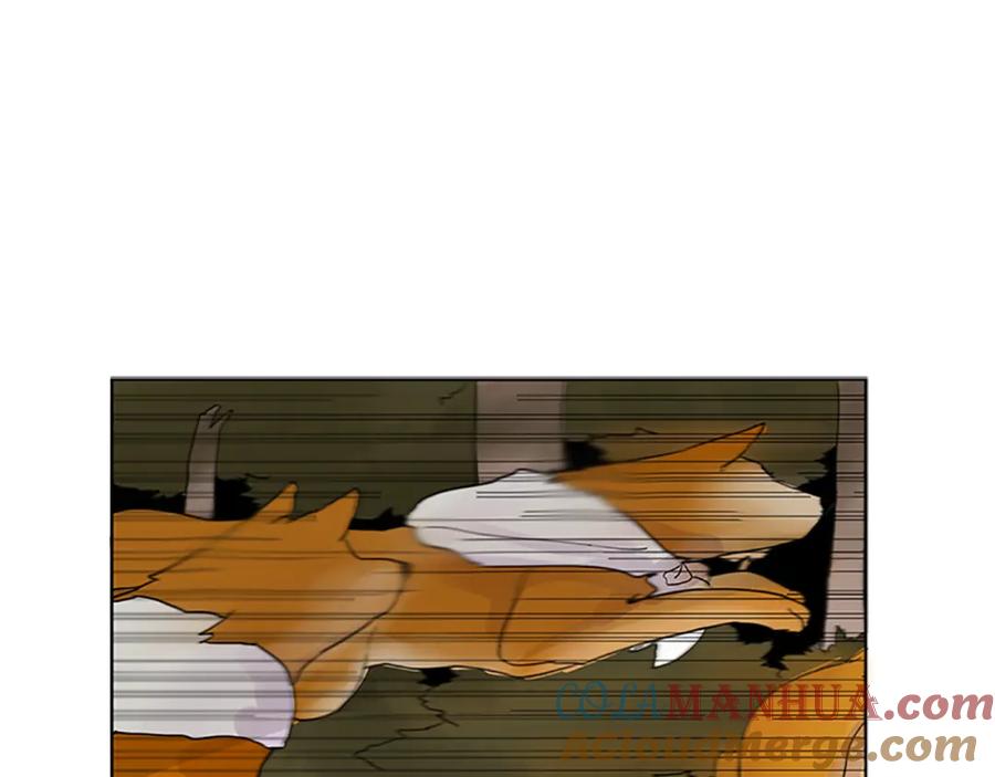 64.jpg