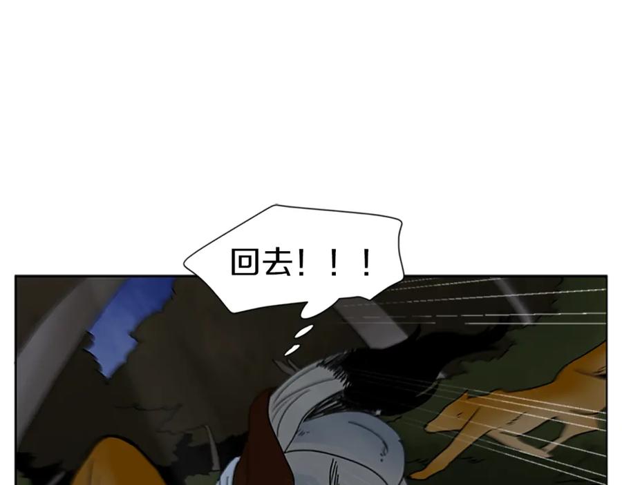 75.jpg